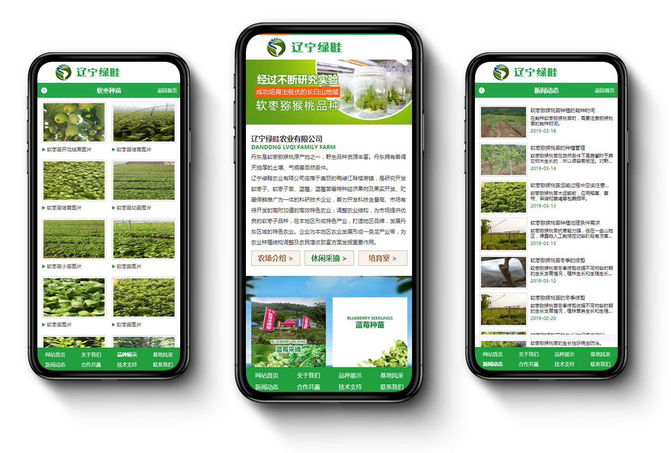 內(nèi)容手機(jī)圖.jpg 內(nèi)容手機(jī)圖.jpg